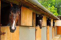 free Llanfairynghornwy stable construction quotes